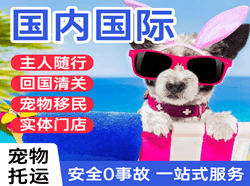 呼伦贝尔机场物流国际宠物托运 【国